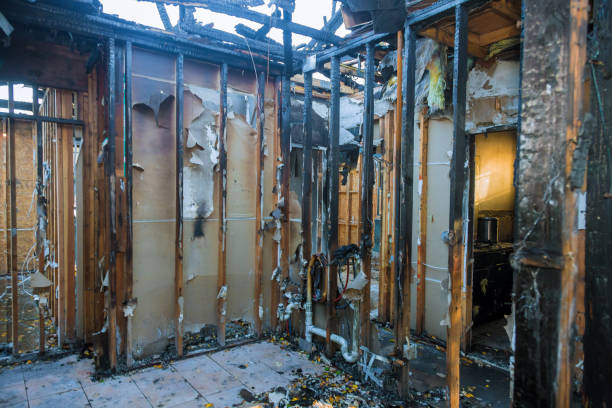Professional Fire Damage Removal technician working in Tubac, AZ